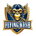 FLYING KUSH Wholesale